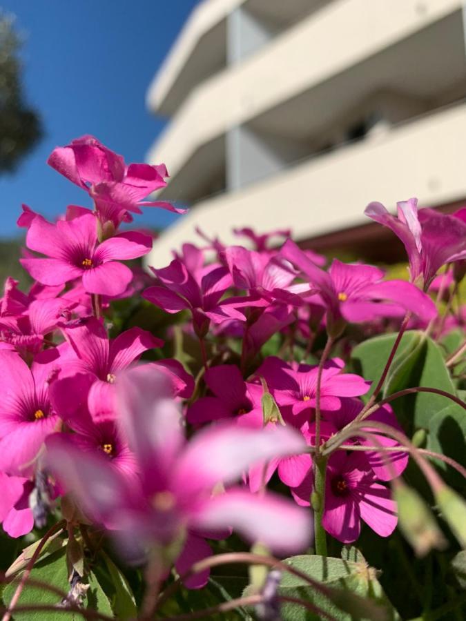 Eurobeach Residence Cavallino-Treporti Luaran gambar